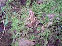 photos 2000-200901735